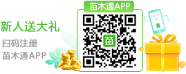 苗木通微信二維碼